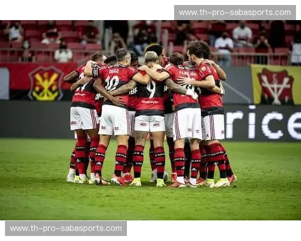 铁血之志对决豪门底蕴：拉瓦勒vs斯特拉斯堡，法兰西绿茵场的冰与火之歌